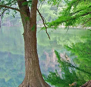 scenic4